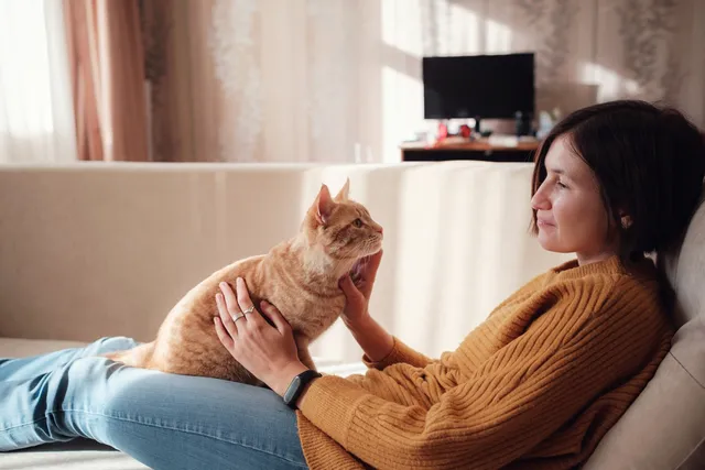 Why Is My Cat Clingy When I'm On My Period? Vet-Verified Facts & Info