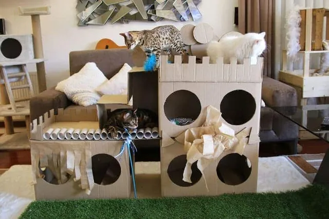 8 DIY Indoor Cat House Plans You Can Make Today (With Pictures)