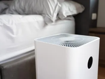 9 Best Air Purifiers for Cat Allergies in 2026 (Hair, Dander & Odor) - Reviews & Top Picks