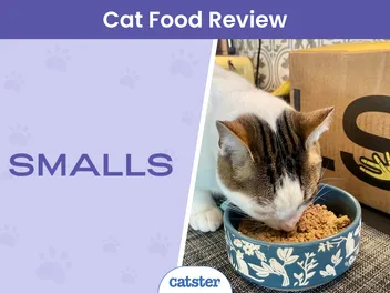 Smalls Cat Food Review 2026: Pros, Cons & Final Verdict