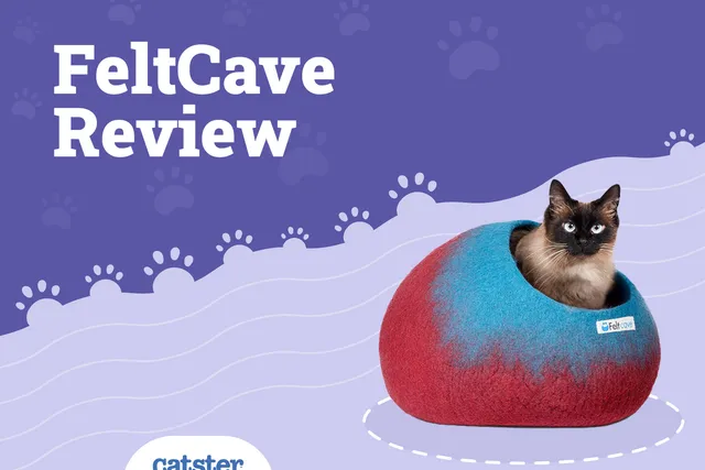 Feltcave Cat Bed Review 2026: Pros, Cons & Final Verdict