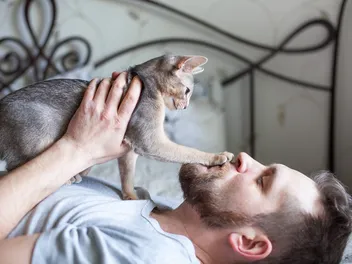 Why Does My Cat Put His Paw on My Mouth? 6 Vet-Reviewed Reasons