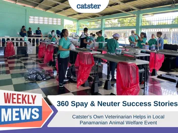 360 Spay Neuter Success Story: Dr. Paola Helps in Panama