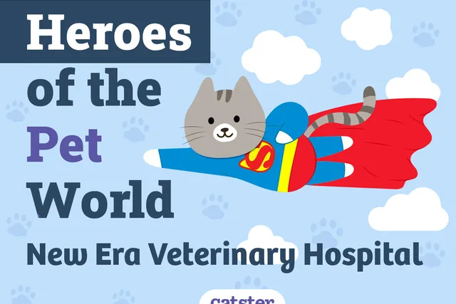 New Era Veterinary Hospital: Heroes of the Pet World