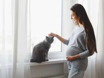 Is It Safe to Have a Cat While Pregnant? Our Vet Answers