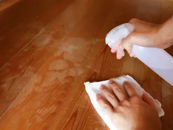 How to Get Cat Pee Smell Out Of Wood Floors: 5 Vet-Reviewed Steps & Prevention Tips