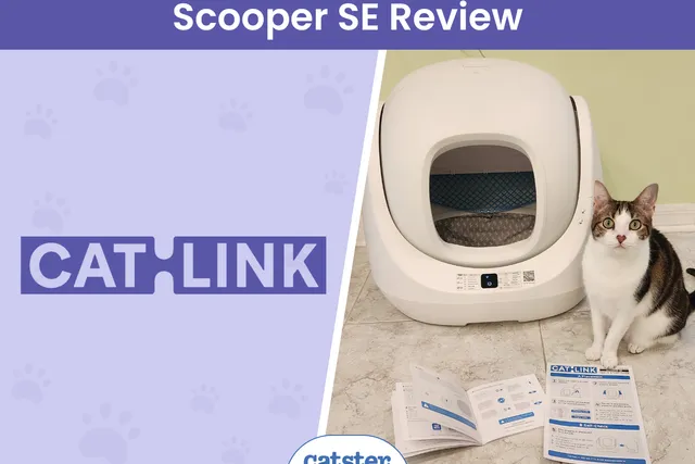 Catlink Scooper SE Review 2026: Improving Pet And Owner Lives Through Technology