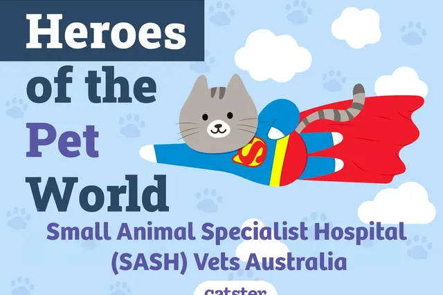 Small Animal Specialist Hospital (SASH) Vets Australia | Heroes of The Pet World