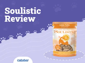 Soulistic Cat Food Review of 2026: Recalls, Pros & Cons