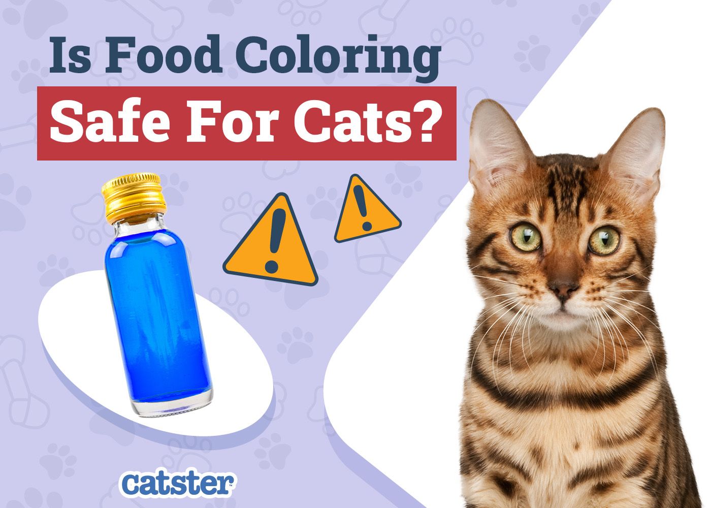 Catster_Is Food Coloring Safe for Cats