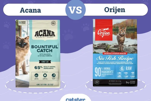 Acana vs. Orijen Cat Food: Our 2026 In-Depth Comparison