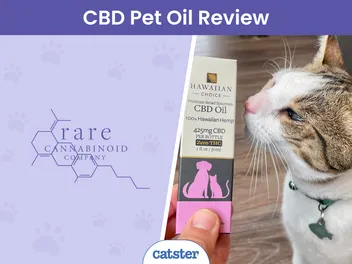 Rare Cannabinoid Company Hawaiian Choice Pet CBD Oil Review 2026: A Detailed Look