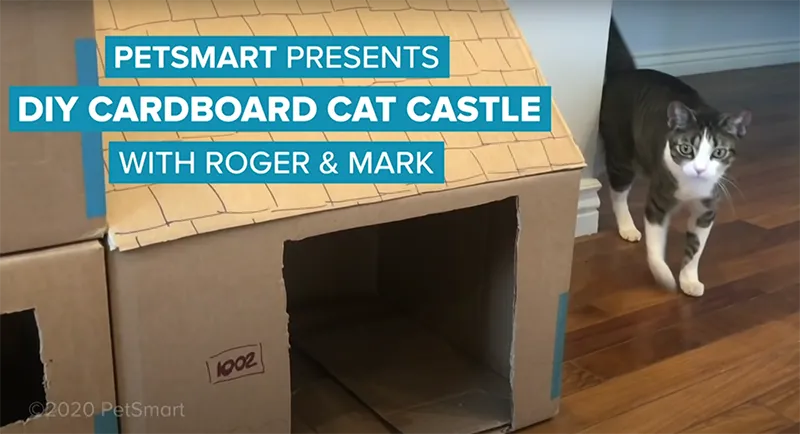 PetSmart_Presents_DIY_Cardboard_Cat_Castle