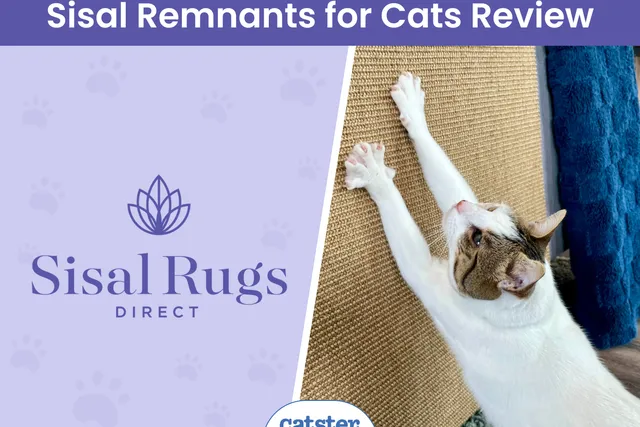 Sisal Rugs Direct Sisal Remnants for Cats Review 2026: Quality Carpet for DIY Cat Accessories