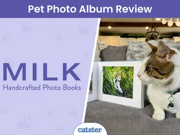 MILK Books Pet Photo Album Review 2026: High-Quality Keepsakes Of Companions