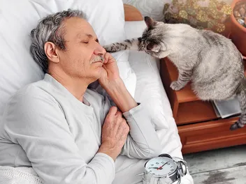 Why Does My Cat Attack Me at Night? 10 Vet-Reviewed Reasons