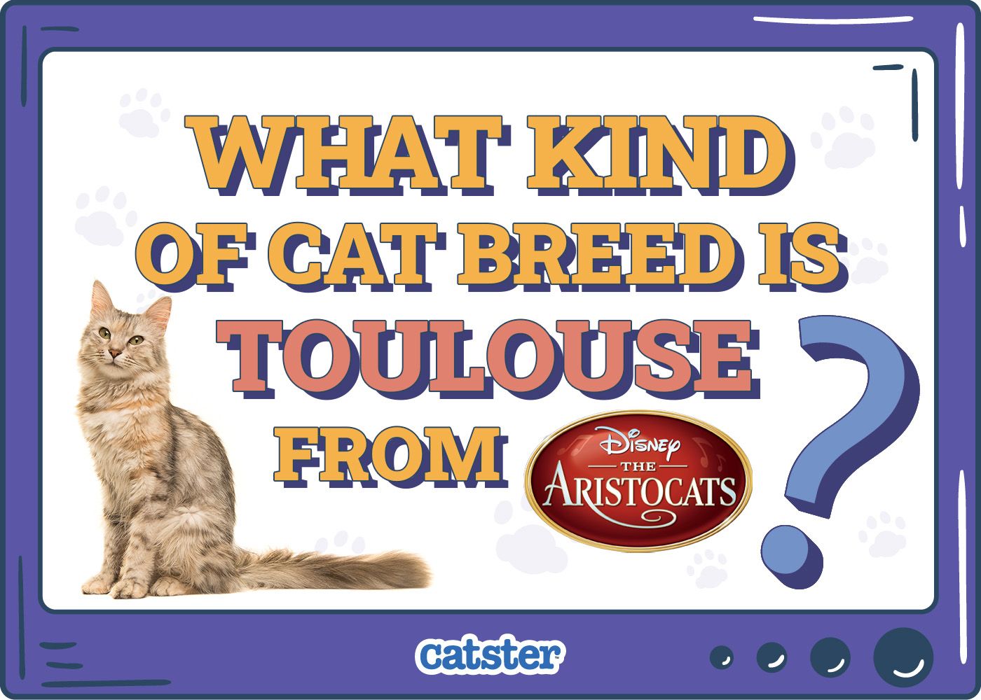 Catster_What Kind of Cat Breed Is Toulouse from The Aristocats