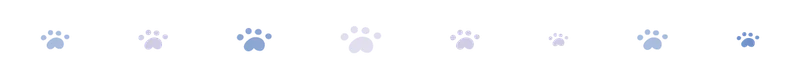 divider 3 paws