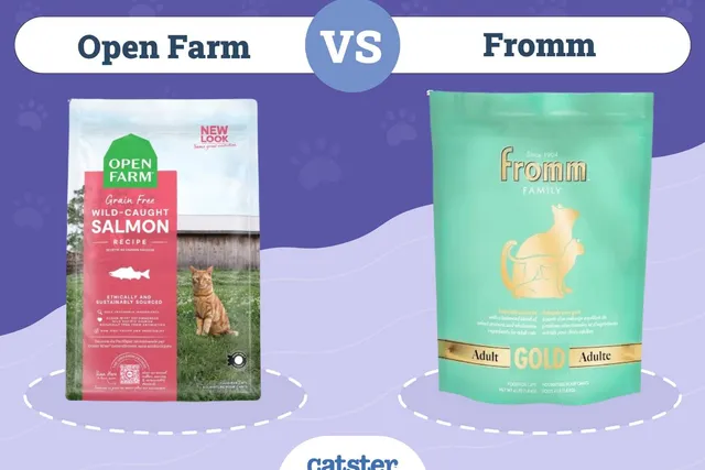 Open Farm vs Fromm Cat Food: 2026 Comparison