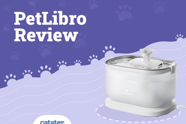 Petlibro Automatic Water Fountain 2026 Review (Pros, Cons & Features)