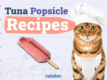 6 Tuna Popsicle Recipes for Cats You Can Make Today (Vet Verified)