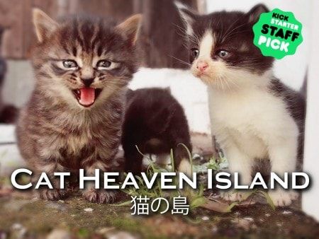 Cat Heaven Island Documentary Review: A Close Up Look at Tashirojima & Its People