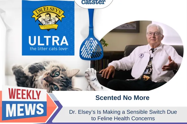 Scented No More: Dr Elsey's Cat Litter Makes a Sensible Switch