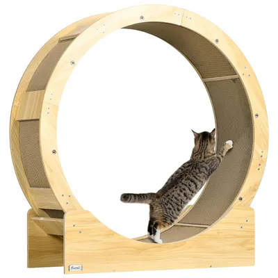 PawHut Cat Exercise Wheel