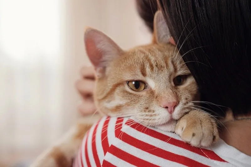 a woman hugging her cat