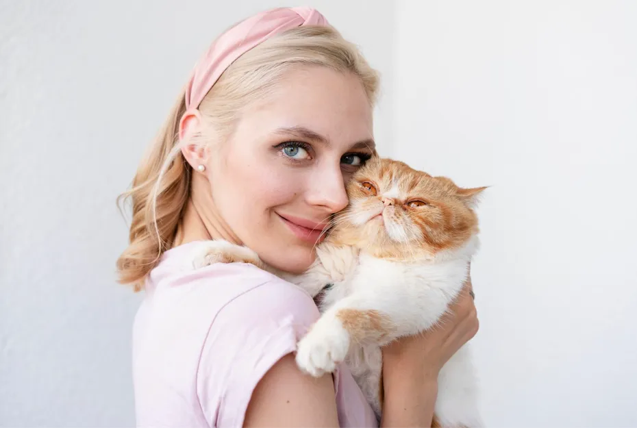 PurebredKitties.com 6
