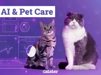 AI & Pet Care According to Vets