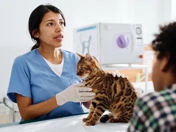 Parkinson's in Cats (Wolff-Parkinson-White Syndrome): Our Vet Explains Prevention, Signs & Treatment