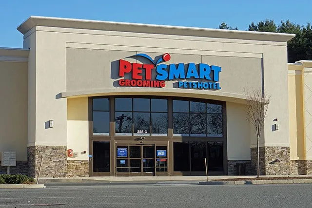 Does PetSmart Groom Cats? 2026 Service Guide