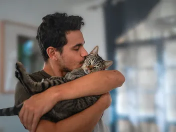 Do Cats Feel Love When You Kiss Them? Vet-Reviewed Facts & FAQ