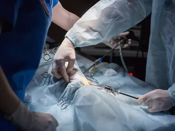 Are Laparoscopic Spays Preferable to Traditional Ones? Pros & Cons (Vet Answer)
