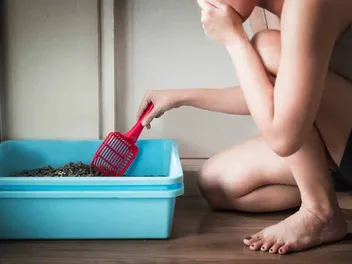 How to Keep Litter Boxes from Smelling: 12 Vet Approved Tips