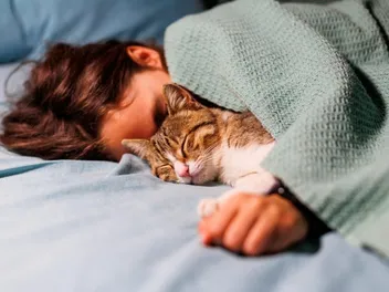 How to Tell If Your Cat Loves You: 12 Vet-Reviewed Signs to Look For