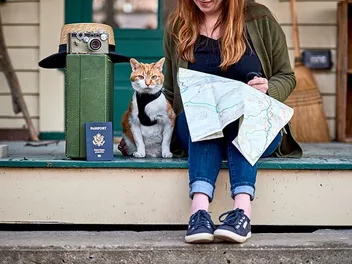 How Much Does a US Pet Passport Cost? (2026 Update)