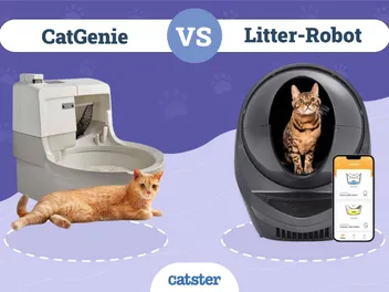 CatGenie Litter Box vs. Litter-Robot: 2026 Comparison
