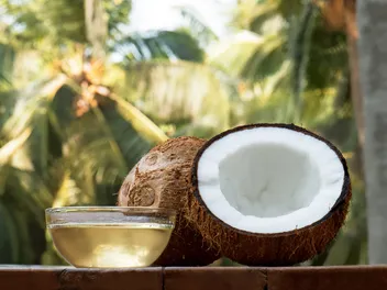 Does Coconut Oil Kill Fleas on Cats? Vet-Reviewed Effectiveness & Safety Guide