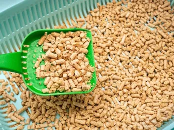 7 Best Pellet & Pine Cat Litters in 2026 - Reviews & Top Picks