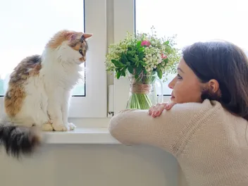 Do Cats Think Humans Are Cute? Exploring Feline Social Perception