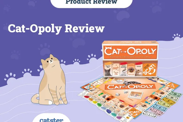 Cat-Opoly Review: The Cat Monopoly Game (2026 Review)