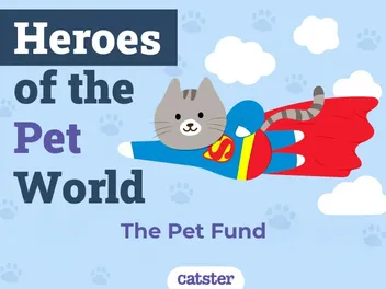 The Pet Fund’s $100K Mission: Saving Pets from Shelter Surrender and Euthanasia | Heroes of the Pet World