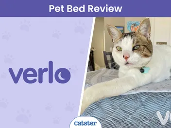 Verlo Pet Beds Review 2026: My Cat’s Paws-On Review