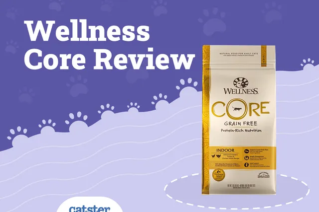Wellness Cat Food Review of 2026: Recalls, Pros & Cons