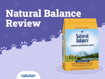 Natural Balance Cat Food Review in 2026: Recalls, Pros & Cons
