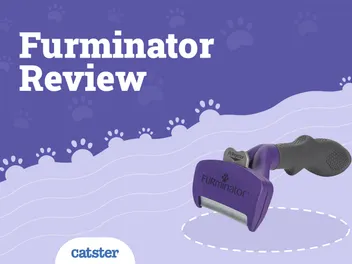 FURminator deShedding Edge Cat Brush Review 2026: Pros, Cons & Features