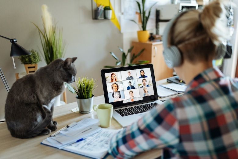 How to Make a Cat-Friendly Office: 10 Simple Vet-Approved Tips