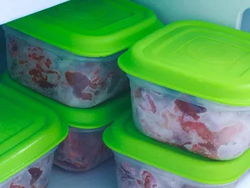 How to Store Homemade Cat Food: Our Vet Answers!